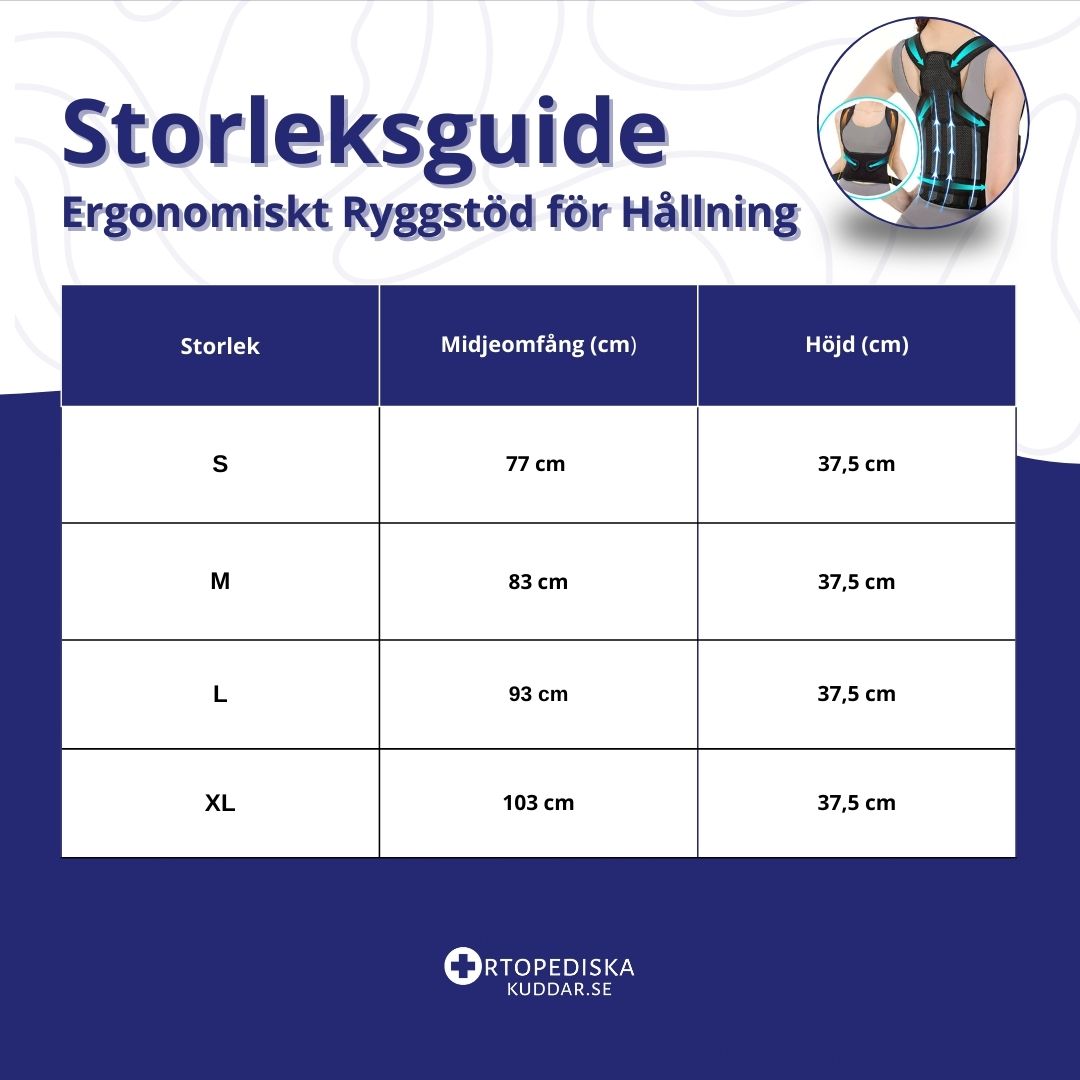 Ergonomiskt Ryggstöd för Hållning
